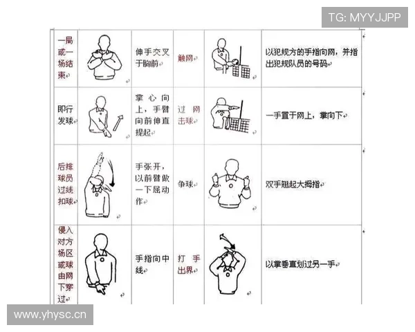 全面解析排球裁判规则细节及判罚标准助力理解比赛流程