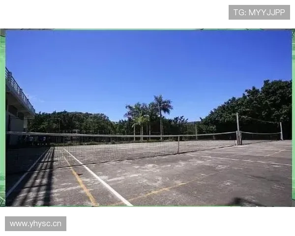 全面提升技术的系统化滑雪训练方法与科学实践进阶提升全方位指南